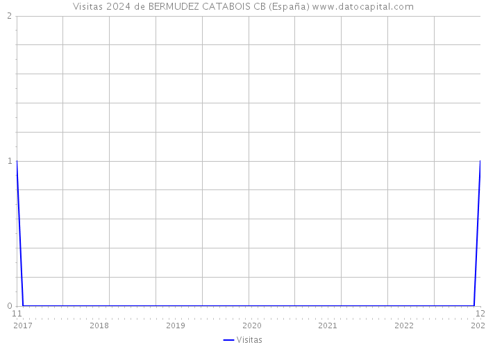 Visitas 2024 de BERMUDEZ CATABOIS CB (España) 