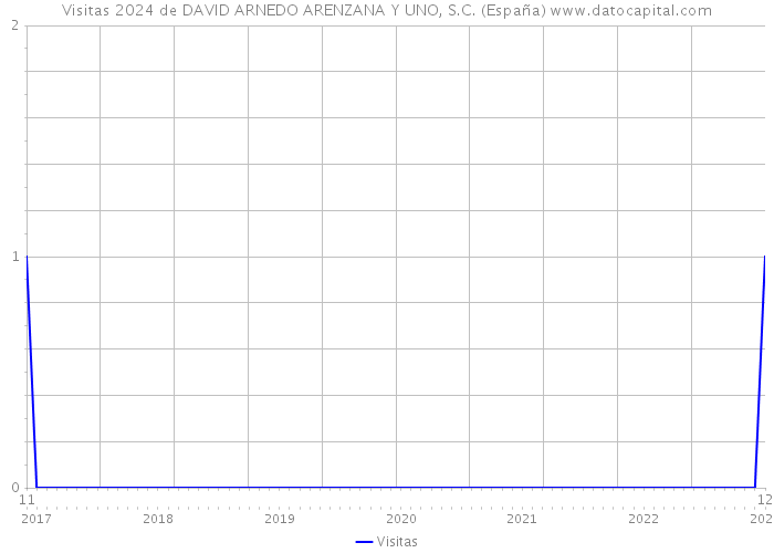Visitas 2024 de DAVID ARNEDO ARENZANA Y UNO, S.C. (España) 