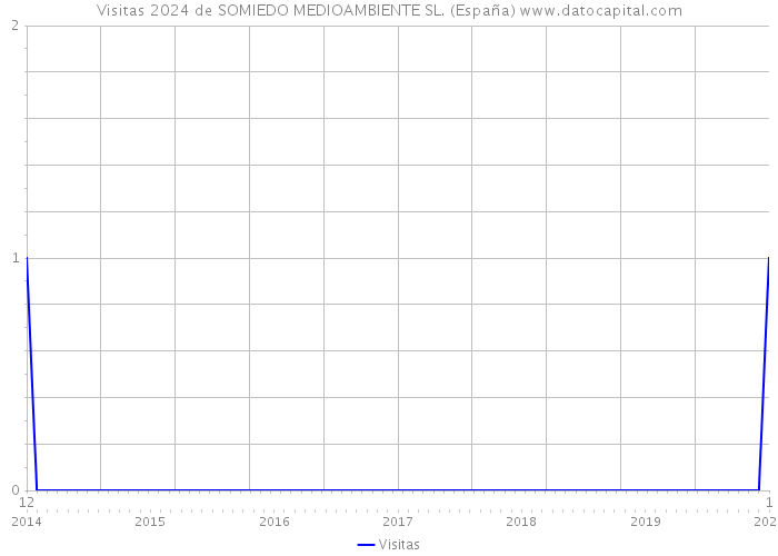 Visitas 2024 de SOMIEDO MEDIOAMBIENTE SL. (España) 
