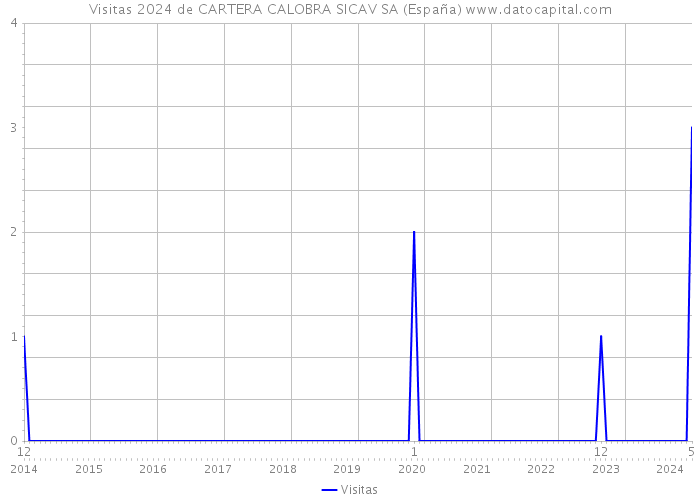 Visitas 2024 de CARTERA CALOBRA SICAV SA (España) 