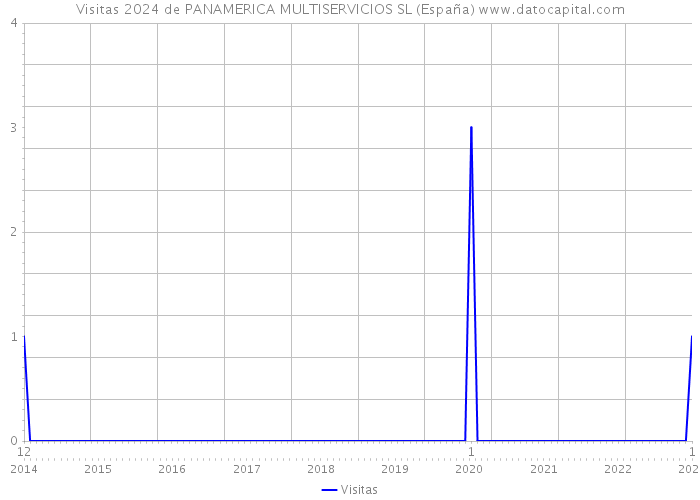 Visitas 2024 de PANAMERICA MULTISERVICIOS SL (España) 