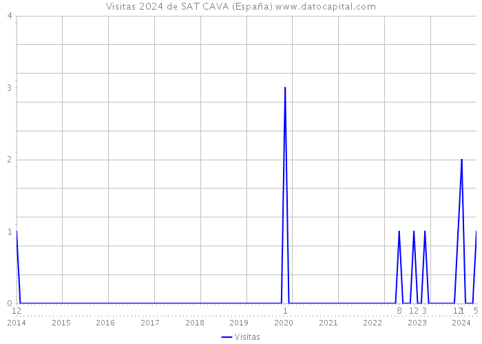 Visitas 2024 de SAT CAVA (España) 