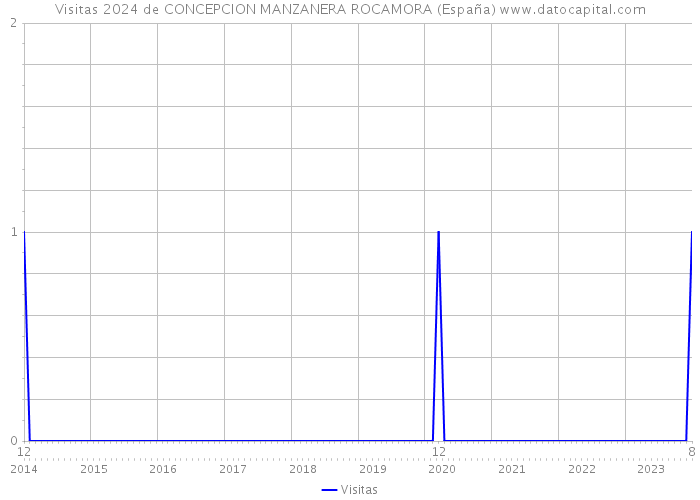 Visitas 2024 de CONCEPCION MANZANERA ROCAMORA (España) 