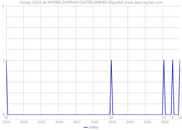 Visitas 2024 de MOISES ZAPIRAIN GAZTELUMENDI (España) 