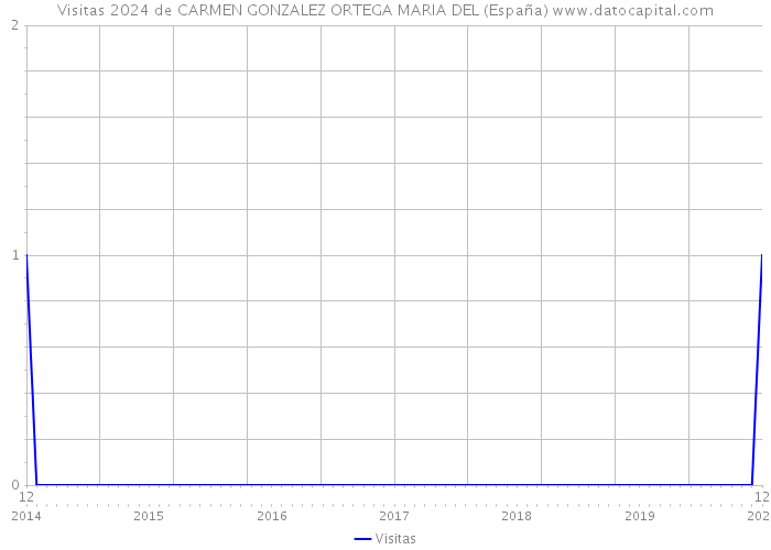 Visitas 2024 de CARMEN GONZALEZ ORTEGA MARIA DEL (España) 