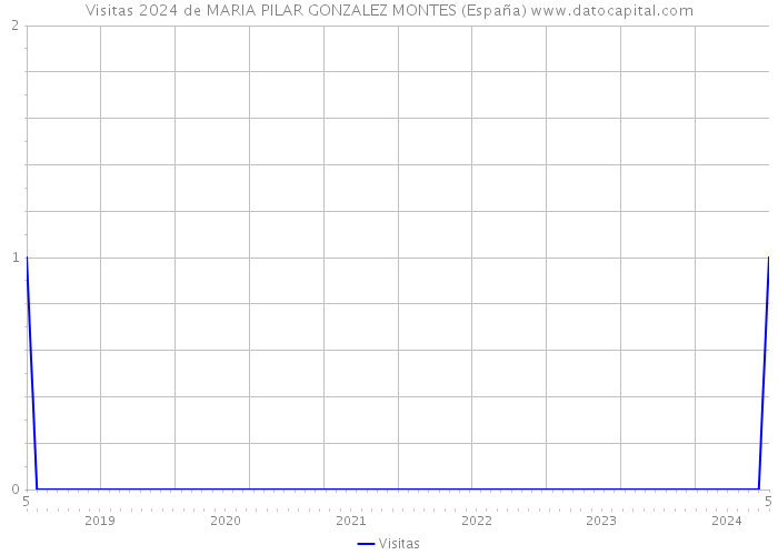 Visitas 2024 de MARIA PILAR GONZALEZ MONTES (España) 