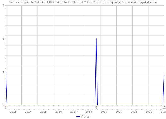 Visitas 2024 de CABALLERO GARCIA DIONISIO Y OTRO S.C.P. (España) 