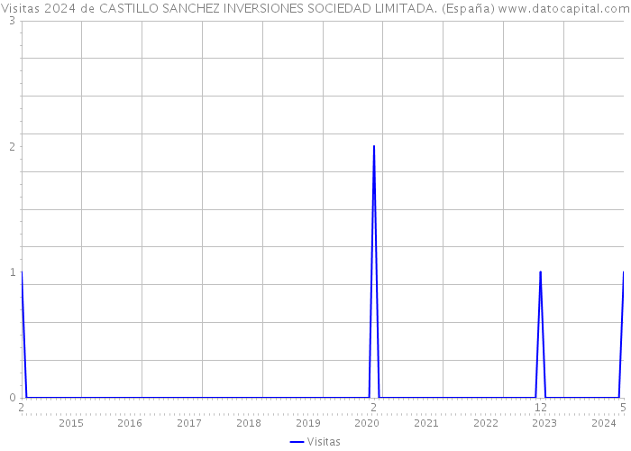 Visitas 2024 de CASTILLO SANCHEZ INVERSIONES SOCIEDAD LIMITADA. (España) 