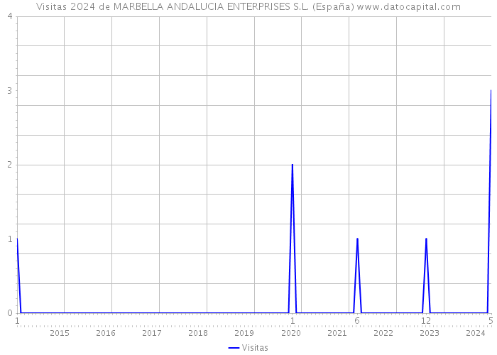 Visitas 2024 de MARBELLA ANDALUCIA ENTERPRISES S.L. (España) 