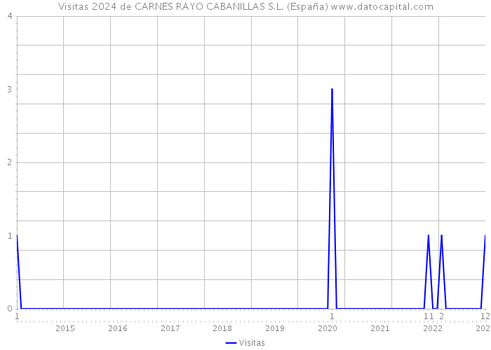 Visitas 2024 de CARNES RAYO CABANILLAS S.L. (España) 
