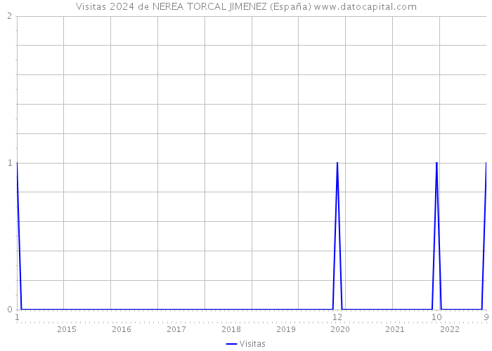 Visitas 2024 de NEREA TORCAL JIMENEZ (España) 