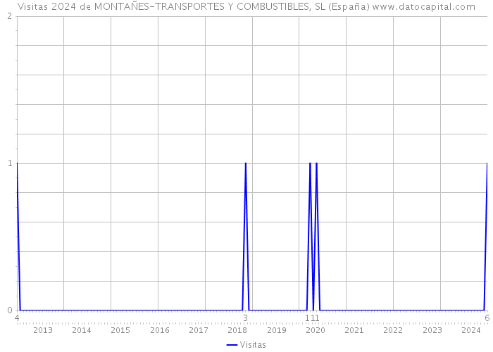 Visitas 2024 de MONTAÑES-TRANSPORTES Y COMBUSTIBLES, SL (España) 