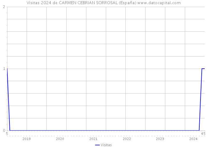 Visitas 2024 de CARMEN CEBRIAN SORROSAL (España) 