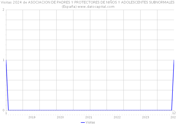 Visitas 2024 de ASOCIACION DE PADRES Y PROTECTORES DE NIÑOS Y ADOLESCENTES SUBNORMALES (España) 