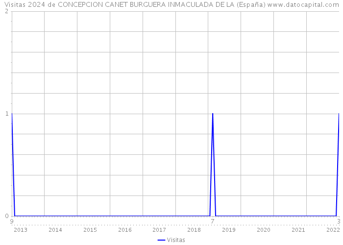 Visitas 2024 de CONCEPCION CANET BURGUERA INMACULADA DE LA (España) 