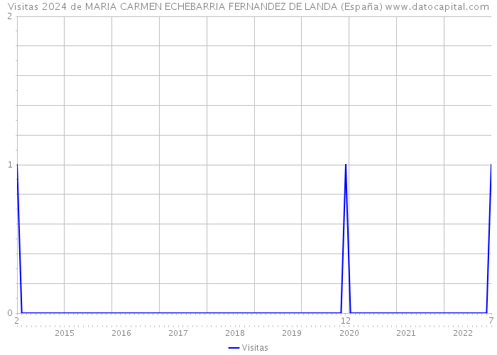 Visitas 2024 de MARIA CARMEN ECHEBARRIA FERNANDEZ DE LANDA (España) 