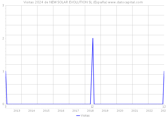 Visitas 2024 de NEW SOLAR EVOLUTION SL (España) 