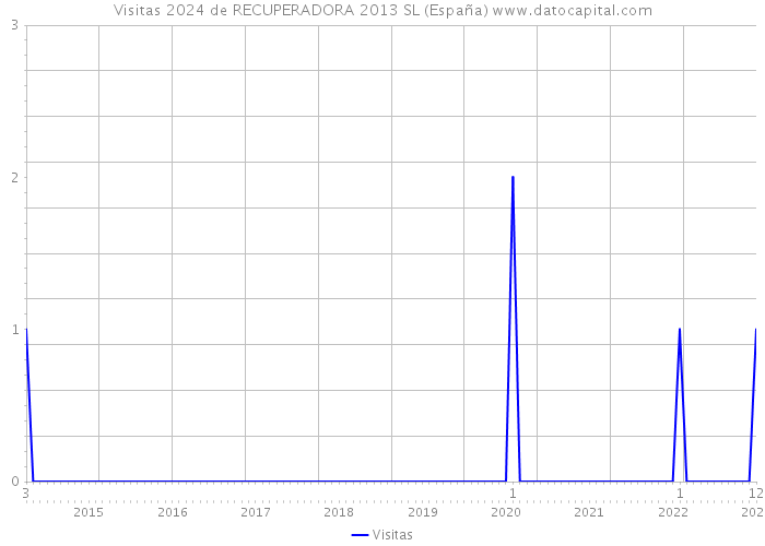 Visitas 2024 de RECUPERADORA 2013 SL (España) 