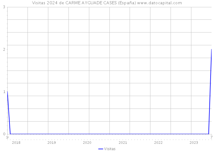 Visitas 2024 de CARME AYGUADE CASES (España) 