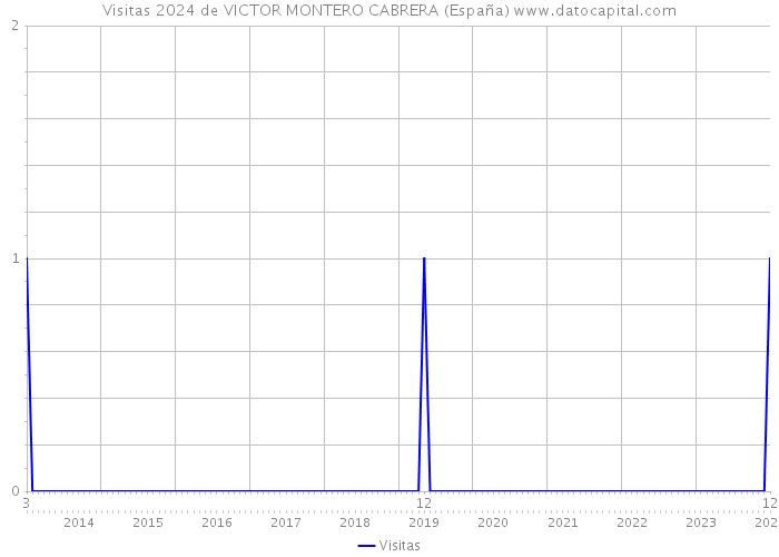 Visitas 2024 de VICTOR MONTERO CABRERA (España) 