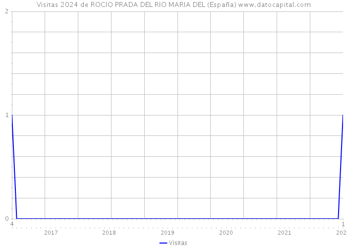 Visitas 2024 de ROCIO PRADA DEL RIO MARIA DEL (España) 