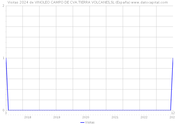 Visitas 2024 de VINOLEO CAMPO DE CVA.TIERRA VOLCANES,SL (España) 