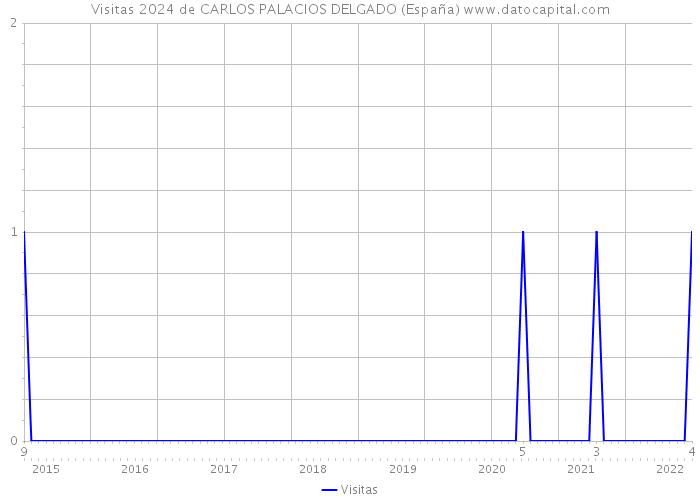Visitas 2024 de CARLOS PALACIOS DELGADO (España) 