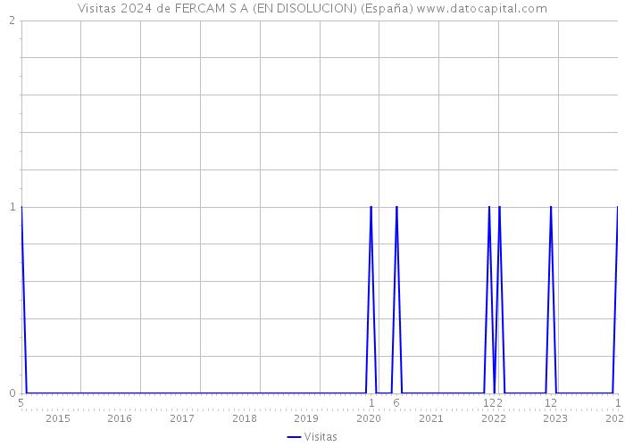 Visitas 2024 de FERCAM S A (EN DISOLUCION) (España) 