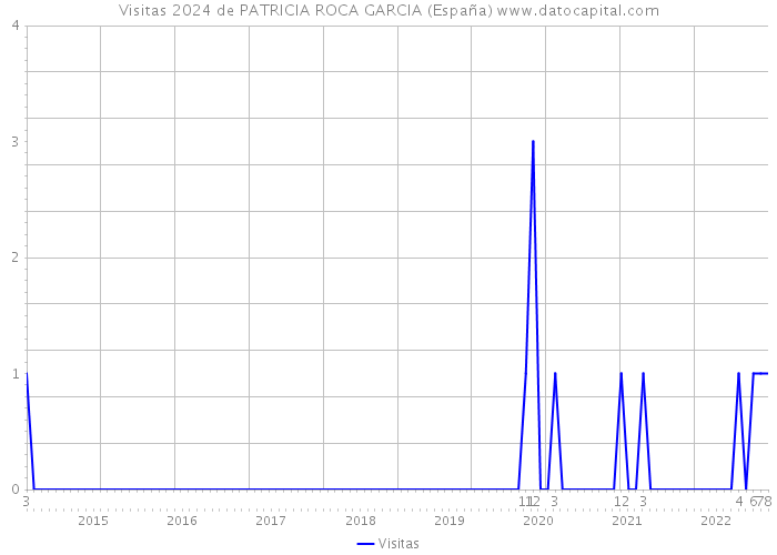 Visitas 2024 de PATRICIA ROCA GARCIA (España) 