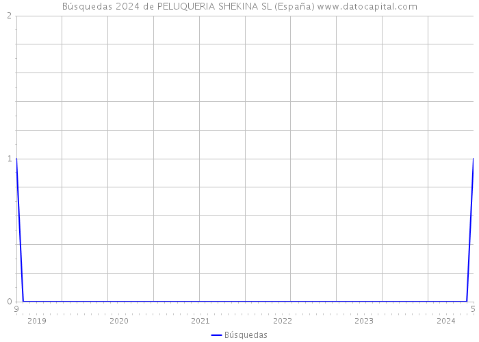 Búsquedas 2024 de PELUQUERIA SHEKINA SL (España) 