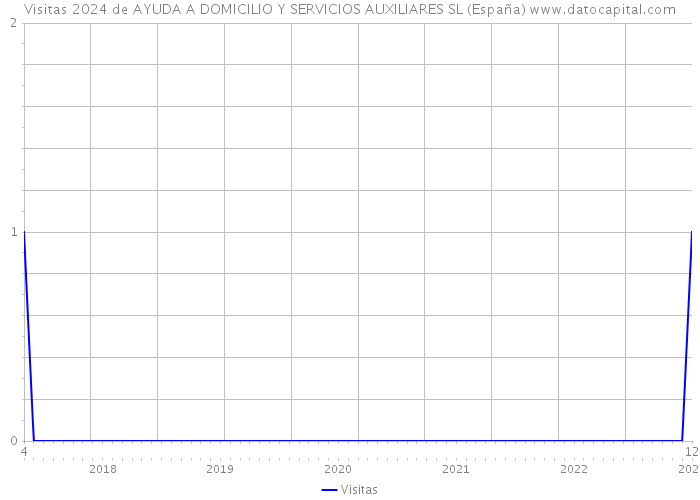Visitas 2024 de AYUDA A DOMICILIO Y SERVICIOS AUXILIARES SL (España) 