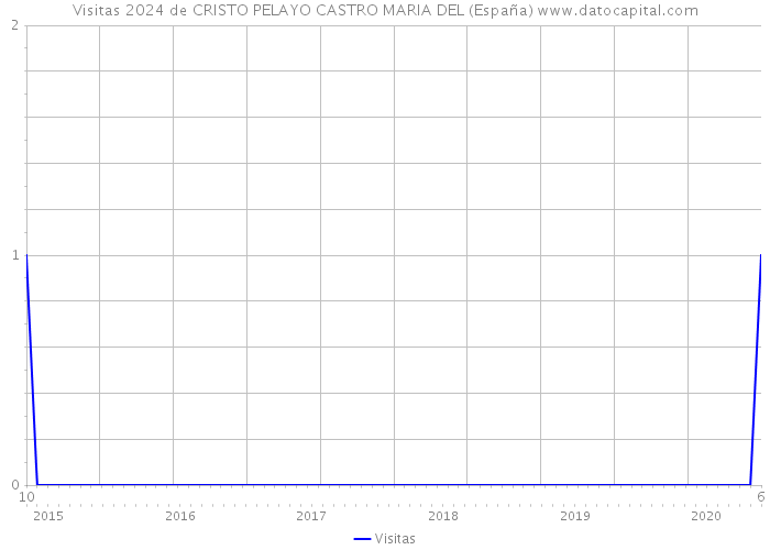 Visitas 2024 de CRISTO PELAYO CASTRO MARIA DEL (España) 