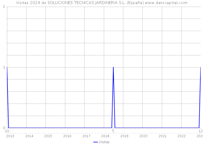 Visitas 2024 de SOLUCIONES TECNICAS JARDINERIA S.L. (España) 