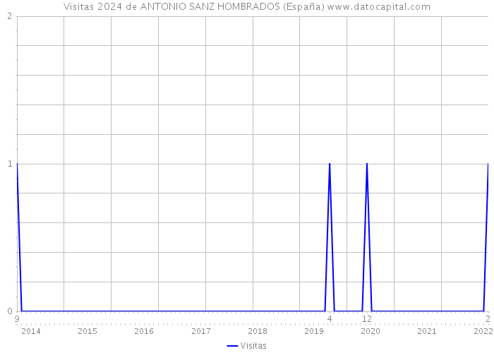 Visitas 2024 de ANTONIO SANZ HOMBRADOS (España) 
