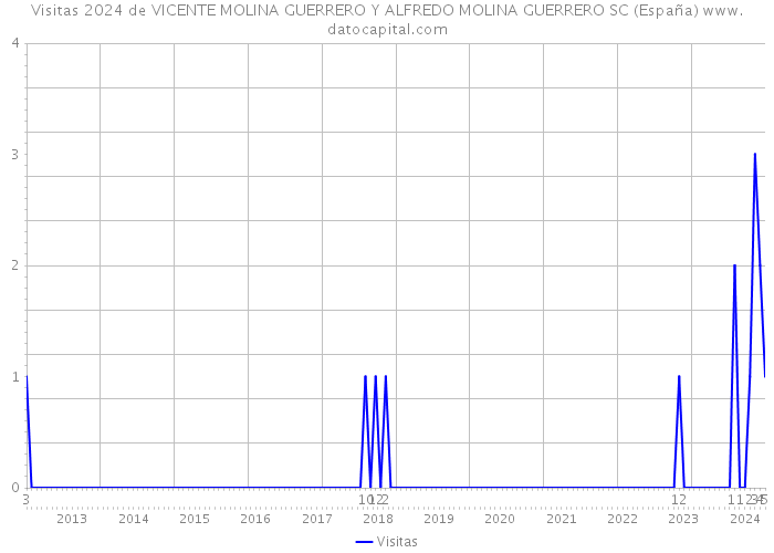 Visitas 2024 de VICENTE MOLINA GUERRERO Y ALFREDO MOLINA GUERRERO SC (España) 