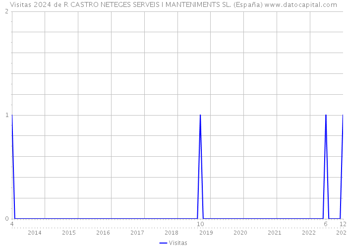 Visitas 2024 de R CASTRO NETEGES SERVEIS I MANTENIMENTS SL. (España) 