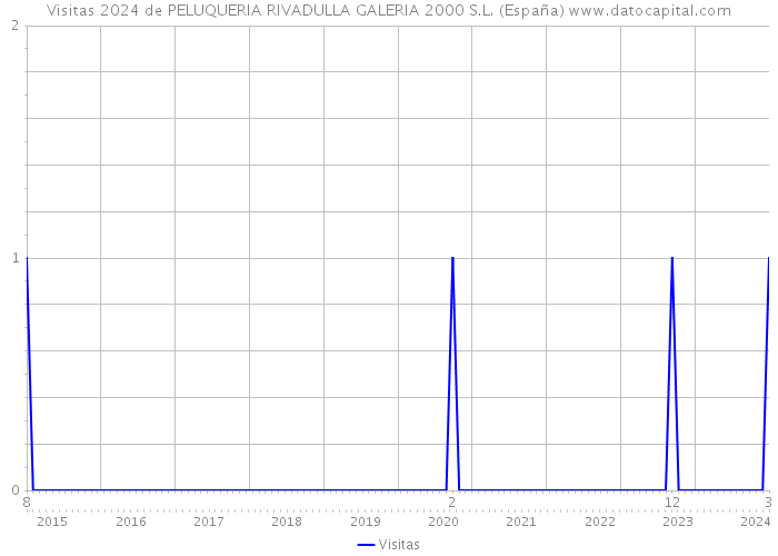 Visitas 2024 de PELUQUERIA RIVADULLA GALERIA 2000 S.L. (España) 