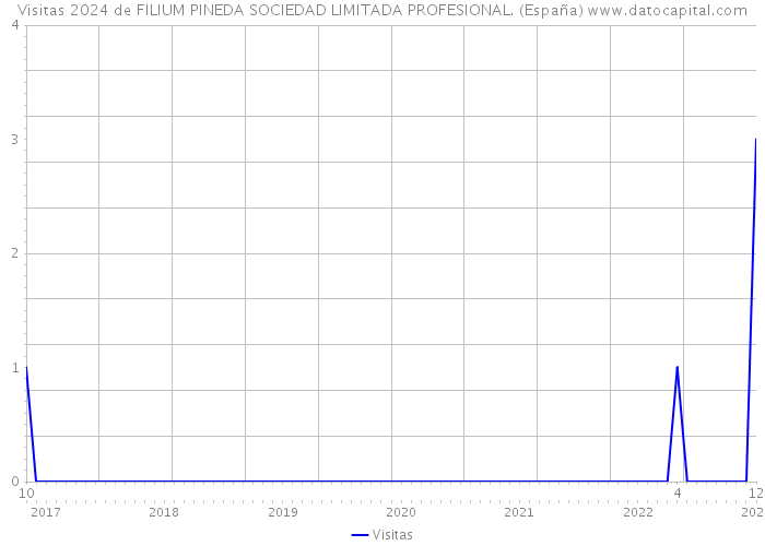Visitas 2024 de FILIUM PINEDA SOCIEDAD LIMITADA PROFESIONAL. (España) 
