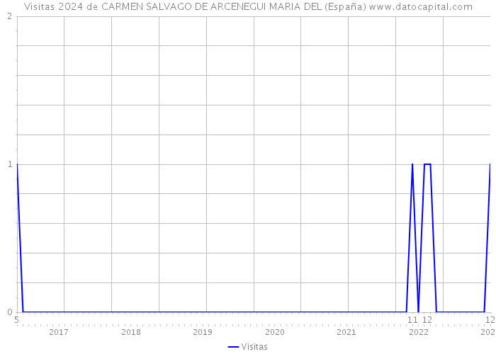 Visitas 2024 de CARMEN SALVAGO DE ARCENEGUI MARIA DEL (España) 