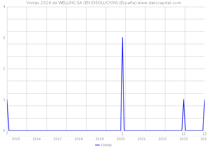 Visitas 2024 de WELLING SA (EN DISOLUCION) (España) 