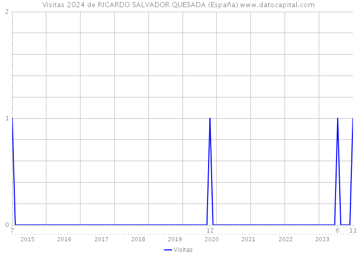 Visitas 2024 de RICARDO SALVADOR QUESADA (España) 