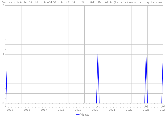 Visitas 2024 de INGENIERIA ASESORIA EKOIZAR SOCIEDAD LIMITADA. (España) 