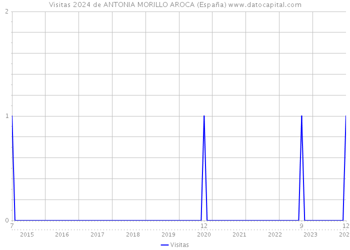 Visitas 2024 de ANTONIA MORILLO AROCA (España) 