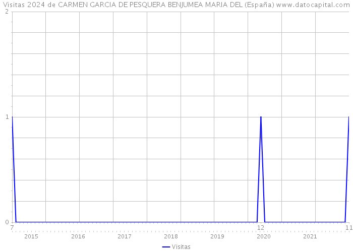 Visitas 2024 de CARMEN GARCIA DE PESQUERA BENJUMEA MARIA DEL (España) 