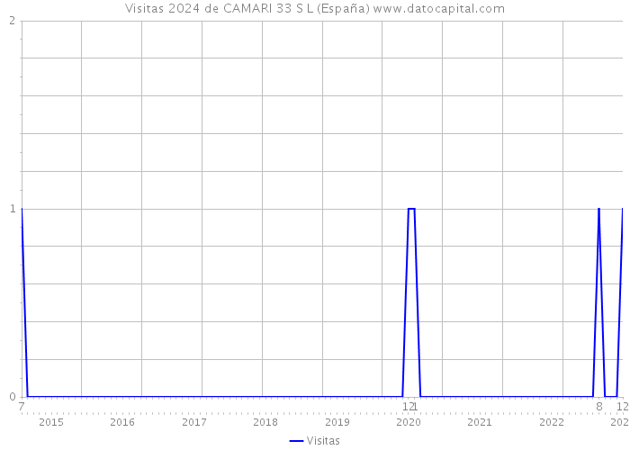 Visitas 2024 de CAMARI 33 S L (España) 