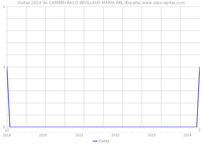 Visitas 2024 de CARMEN BACO SEVILLANO MARIA DEL (España) 
