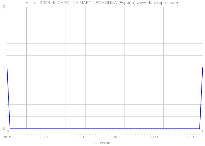 Visitas 2024 de CAROLINA MARTINEZ MOLINA (España) 