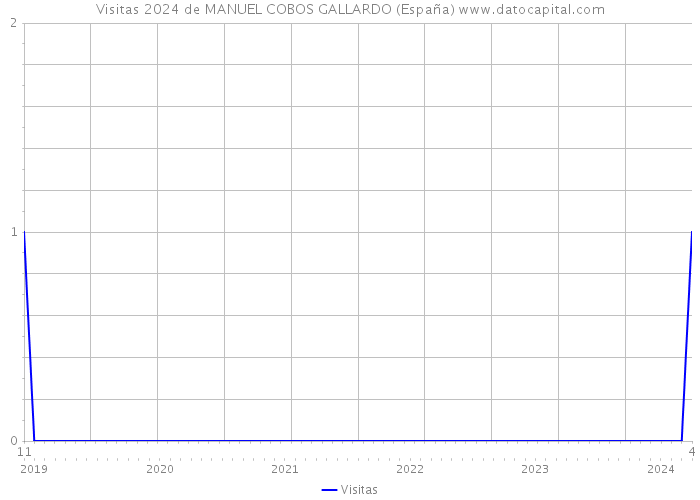 Visitas 2024 de MANUEL COBOS GALLARDO (España) 