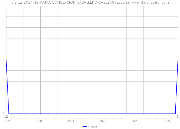 Visitas 2024 de MARIA CONCEPCION CABALLERO CABEZAS (España) 