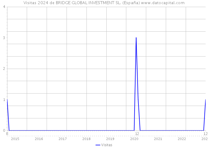 Visitas 2024 de BRIDGE GLOBAL INVESTMENT SL. (España) 